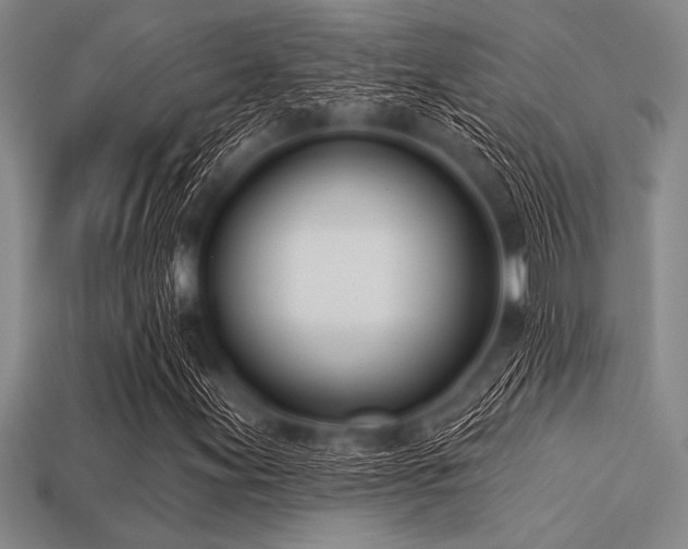 X0000113321155200909141349