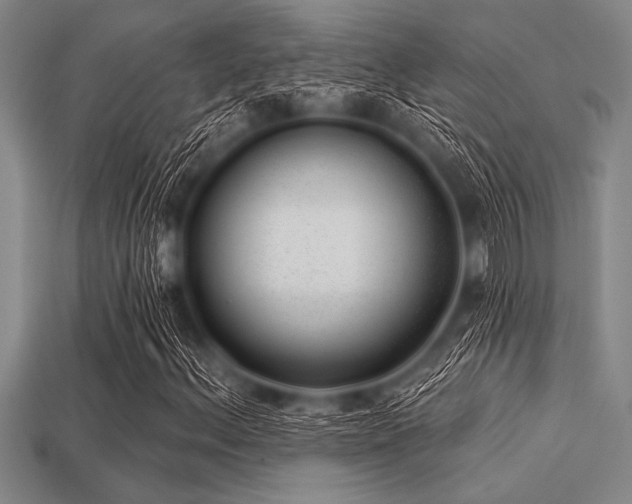 X0000113321156200909141349