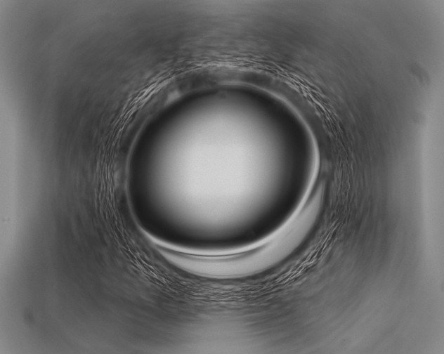 X0000113321157200909141349