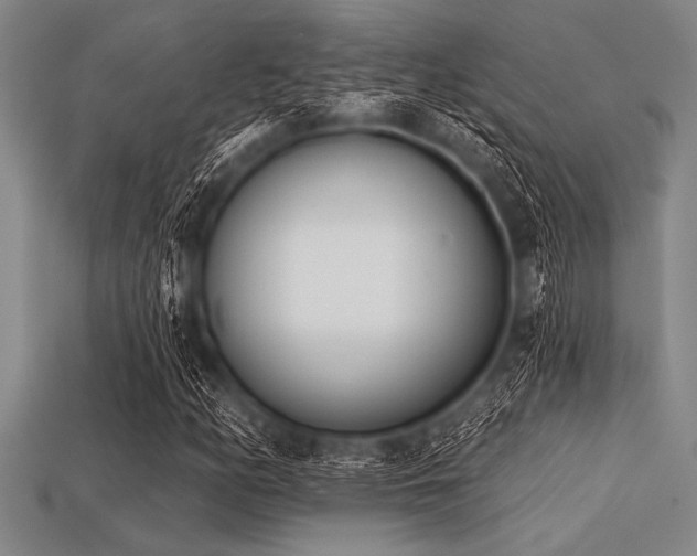 X0000113321158200909141349