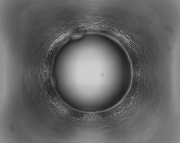 X0000113321159200909141349