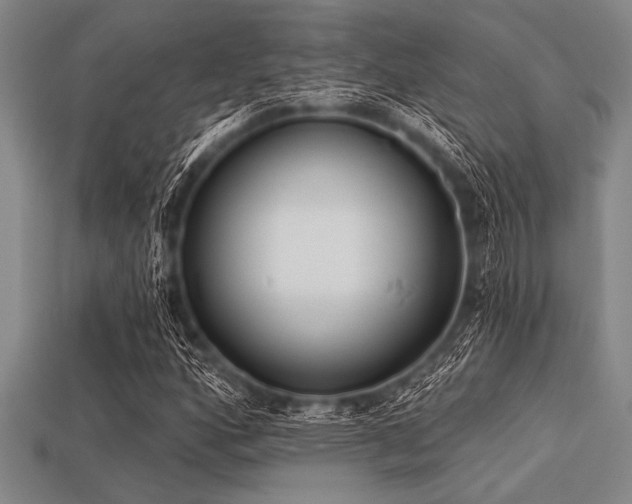 X0000113321160200909141349