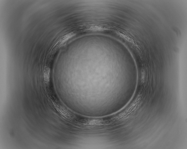 X0000113321161200909141349