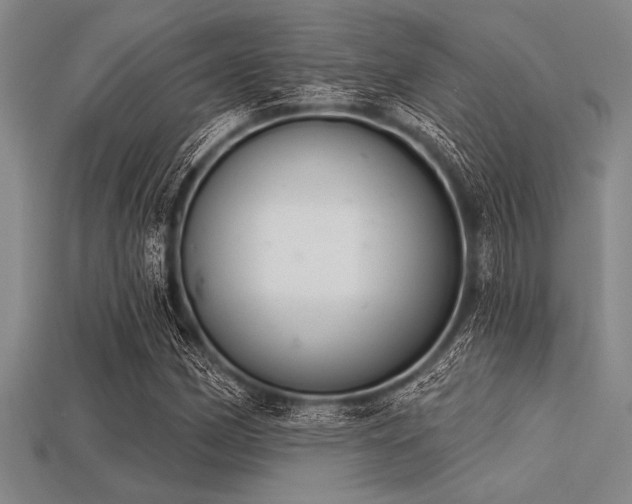 X0000113321162200909141349