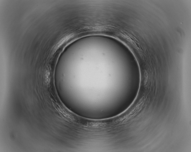 X0000113321163200909141349