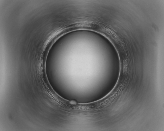 X0000113321164200909141349