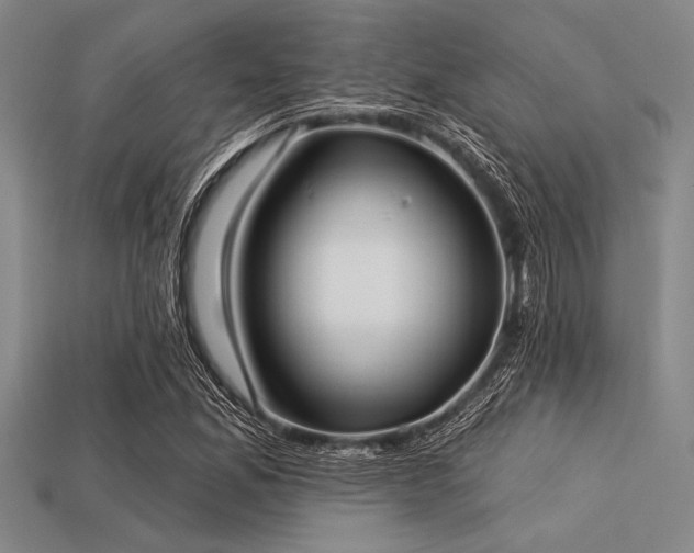 X0000113321165200909141349