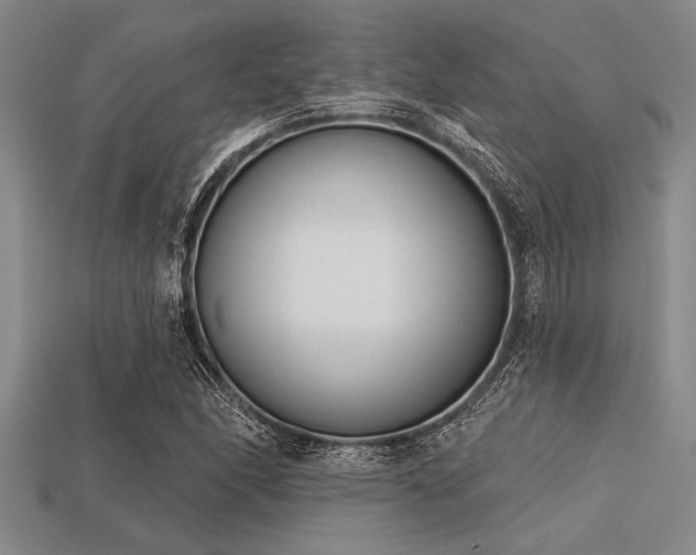 X0000113321166200909141349