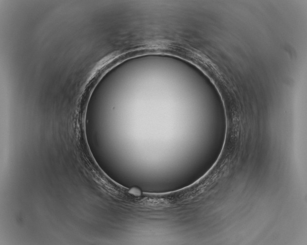 X0000113321168200909141349