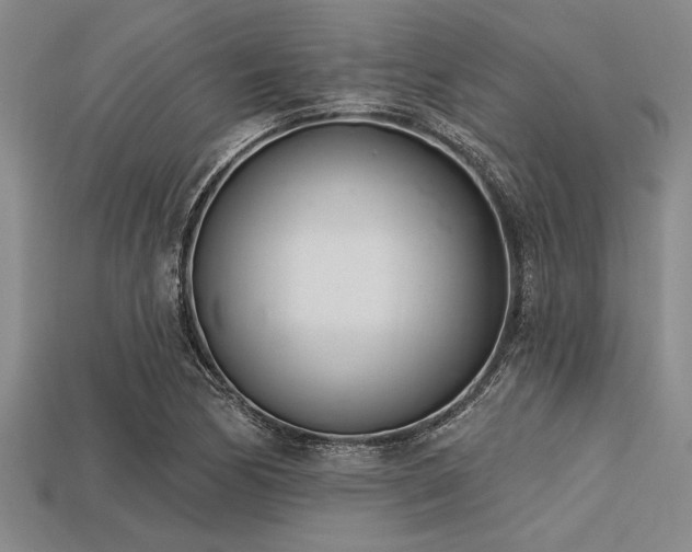 X0000113321170200909141349