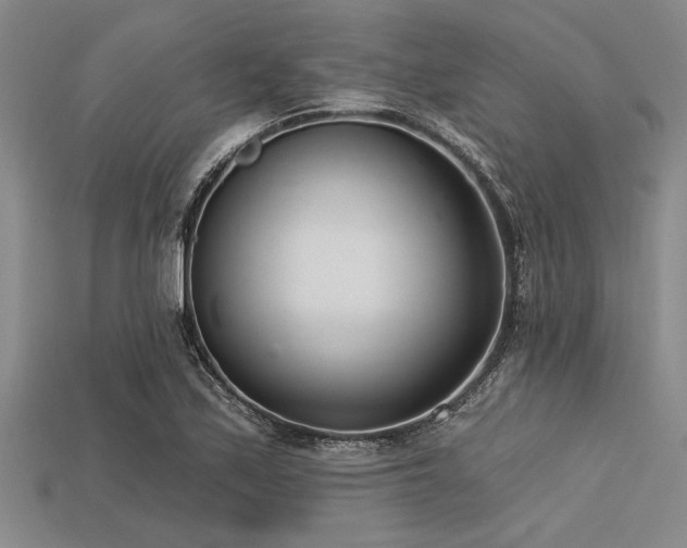 X0000113321171200909141349