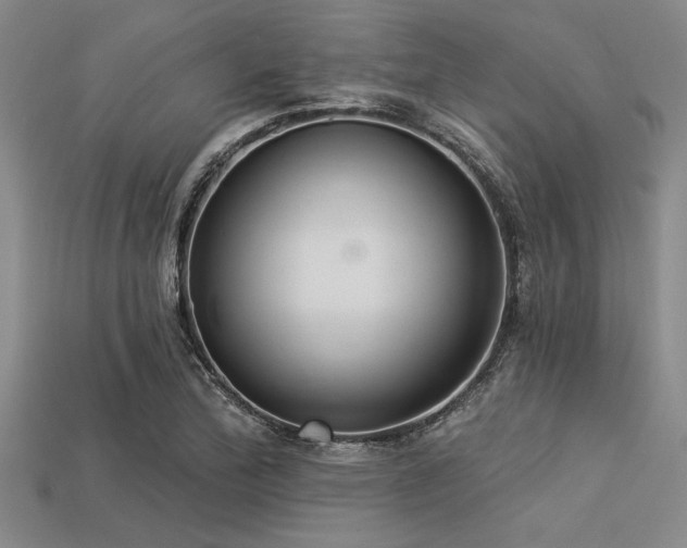 X0000113321172200909141349