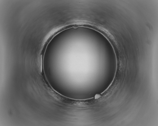 X0000113321175200909141349