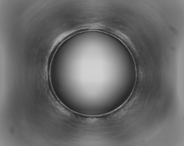 X0000113321176200909141349