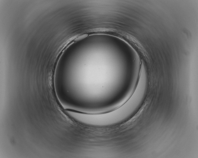 X0000113321177200909141349