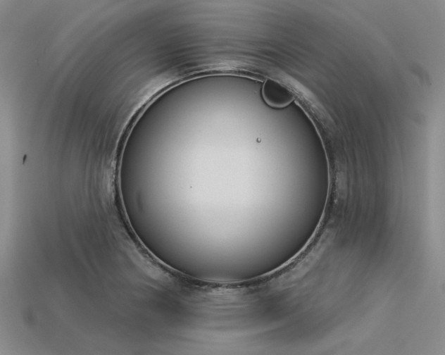 X0000113321178200909141349