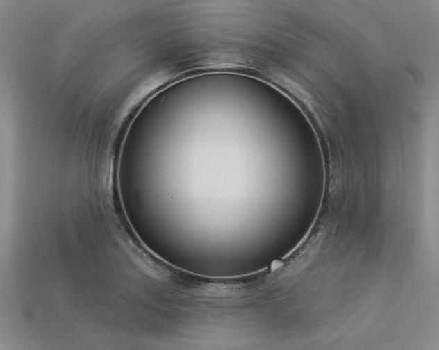 X0000113321179200909141349