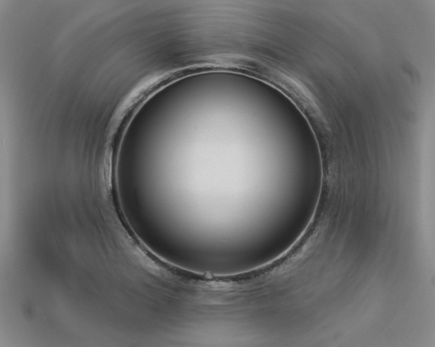 X0000113321180200909141349