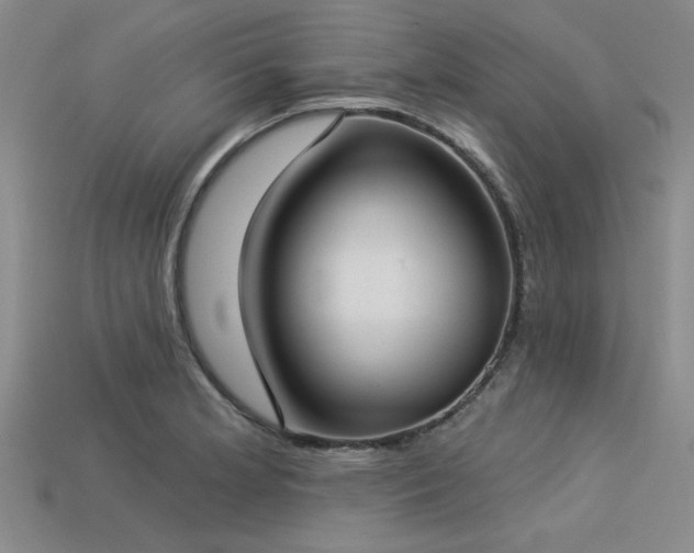 X0000113321181200909141349