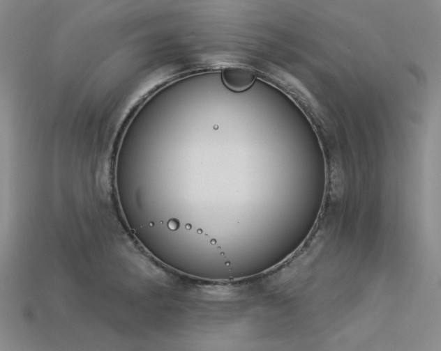 X0000113321182200909141349
