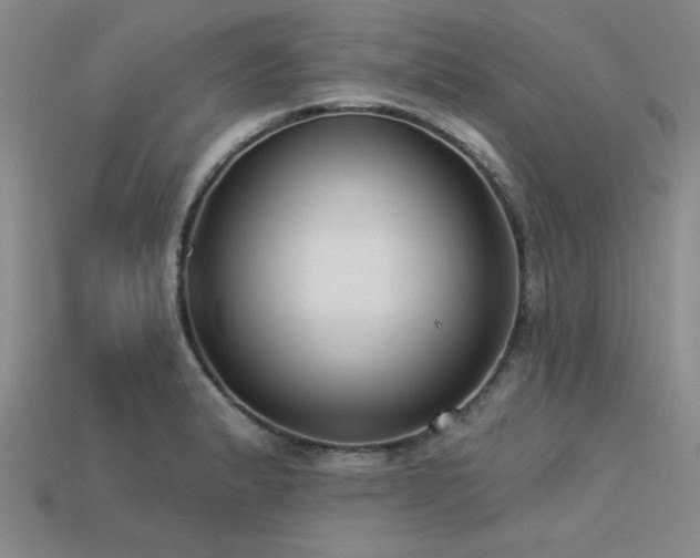 X0000113321183200909141349