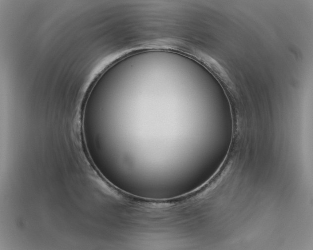 X0000113321184200909141349