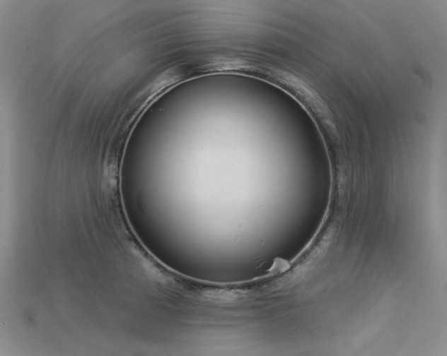 X0000113321185200909141349
