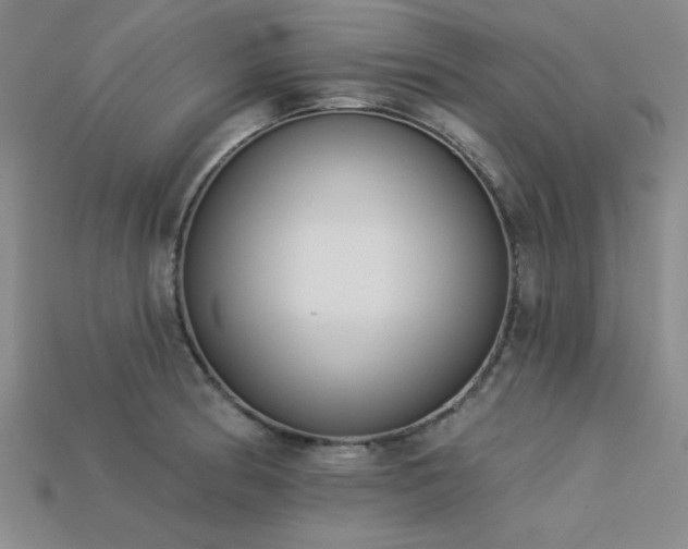 X0000113321186200909141349