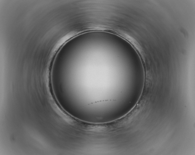 X0000113321187200909141349