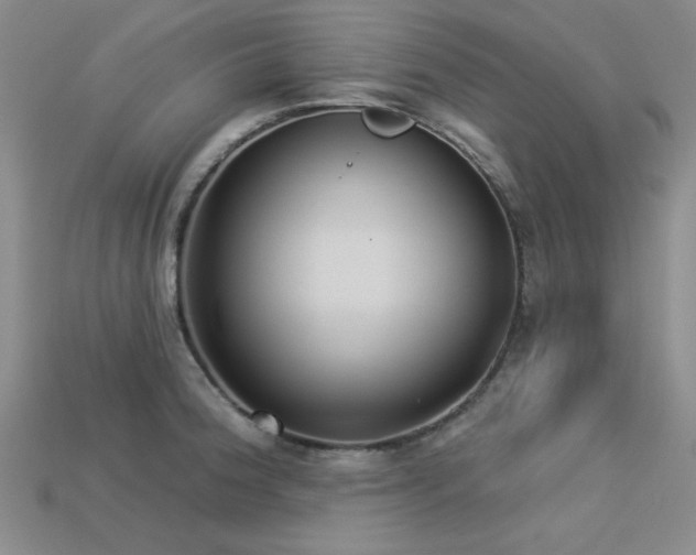 X0000113321188200909141349