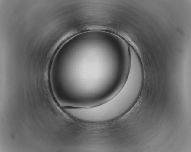 X0000113321189200909141349