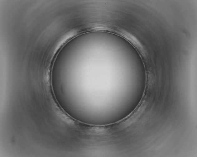 X0000113321190200909141349