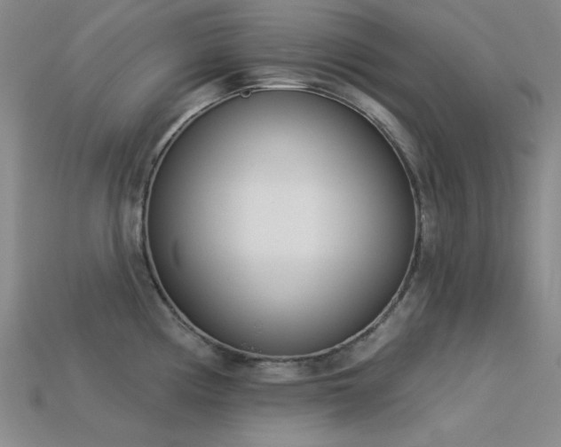 X0000113321194200909141349