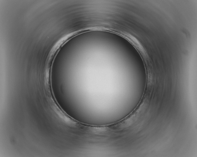 X0000113321196200909141349