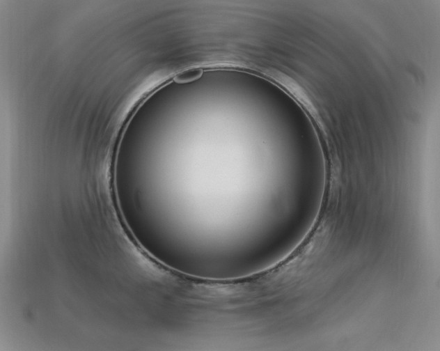 X0000113321197200909141349