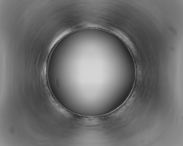 X0000113321198200909141349