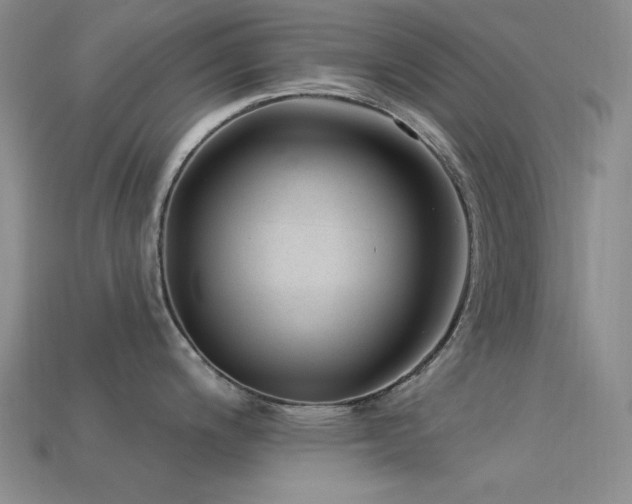 X0000113321200200909141349