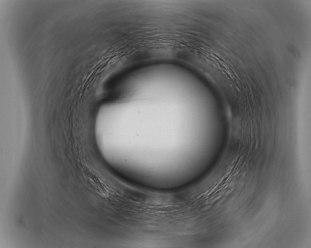 X0000113321201200909141348