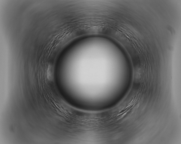 X0000113321202200909141348