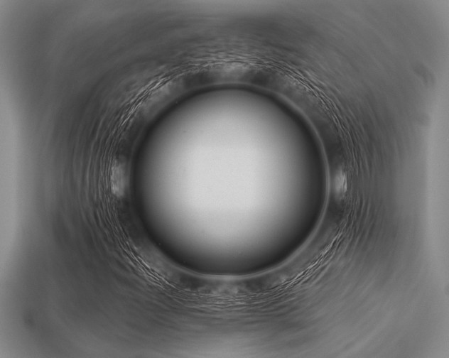 X0000113321204200909141348
