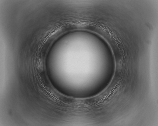 X0000113321205200909141348