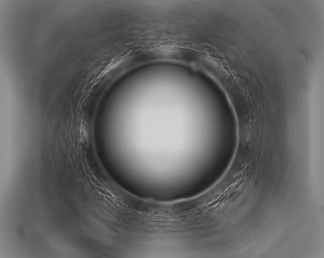 X0000113321206200909141348