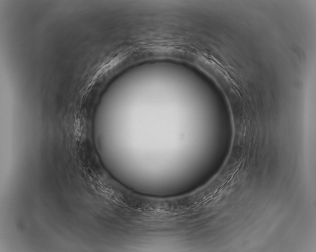 X0000113321207200909141348