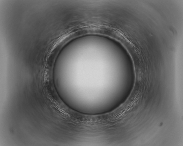 X0000113321208200909141348