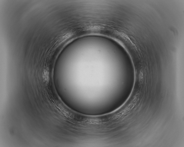 X0000113321209200909141348