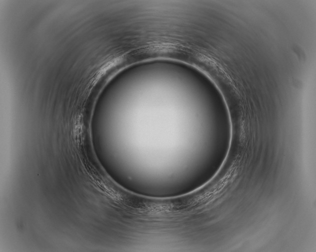X0000113321210200909141348