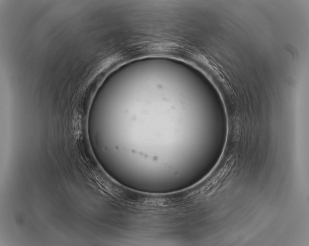 X0000113321211200909141348