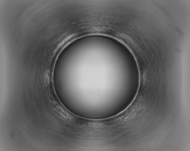 X0000113321212200909141348