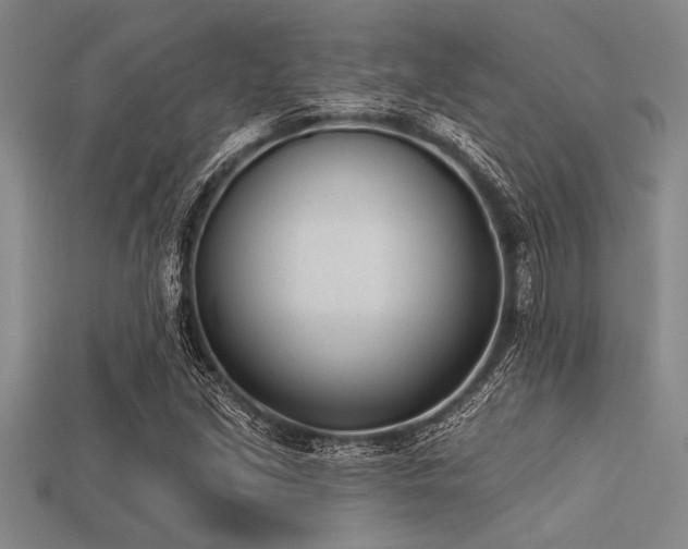 X0000113321213200909141348
