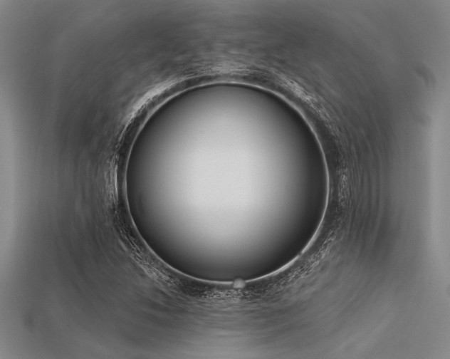 X0000113321214200909141348